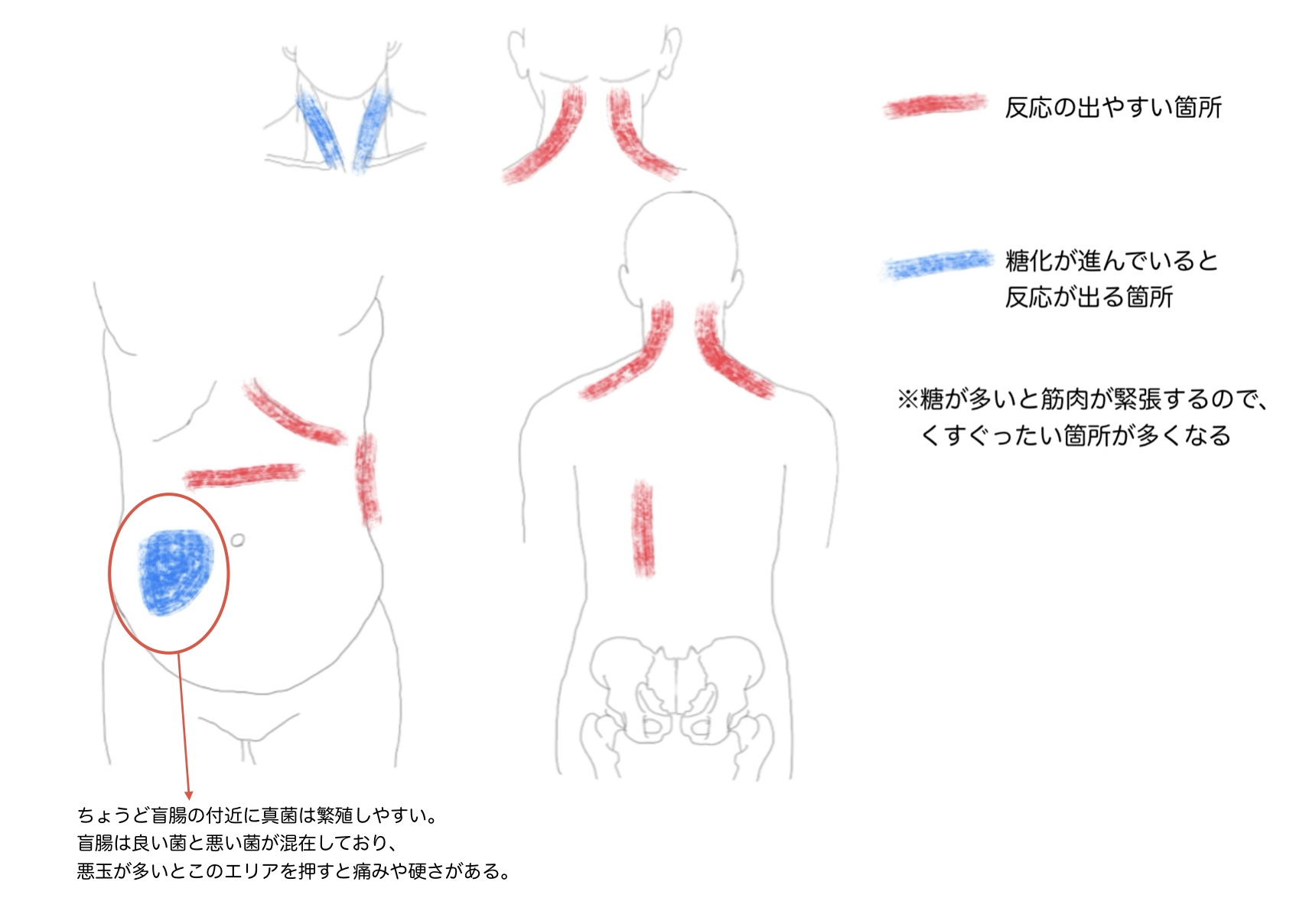 回復力低下と血流の関係
